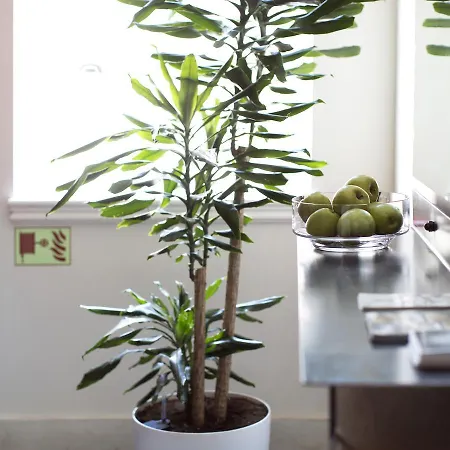 Casa Di Bava By Tch Hotel